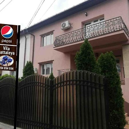 Casa Cattleya Ξενοδοχείο Târgu Jiu Εξωτερικό φωτογραφία
