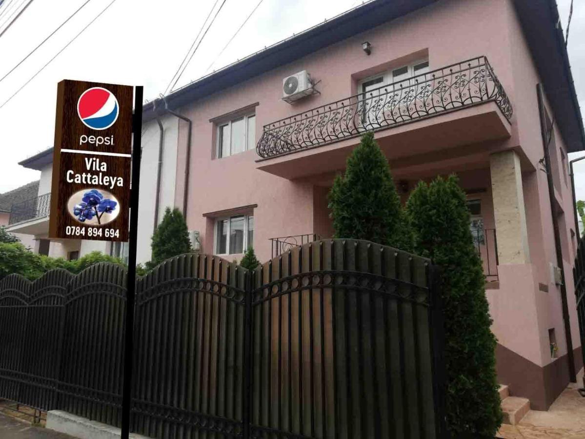 Casa Cattleya Ξενοδοχείο Târgu Jiu Εξωτερικό φωτογραφία